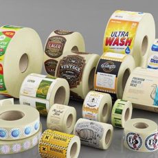 WhatsApp Image 2025-10-17 at 13.13.45